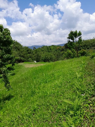 Seventeenth image of Seaford Town in SEAFORD TOWN, Westmoreland, Jamaica - property is For Sale