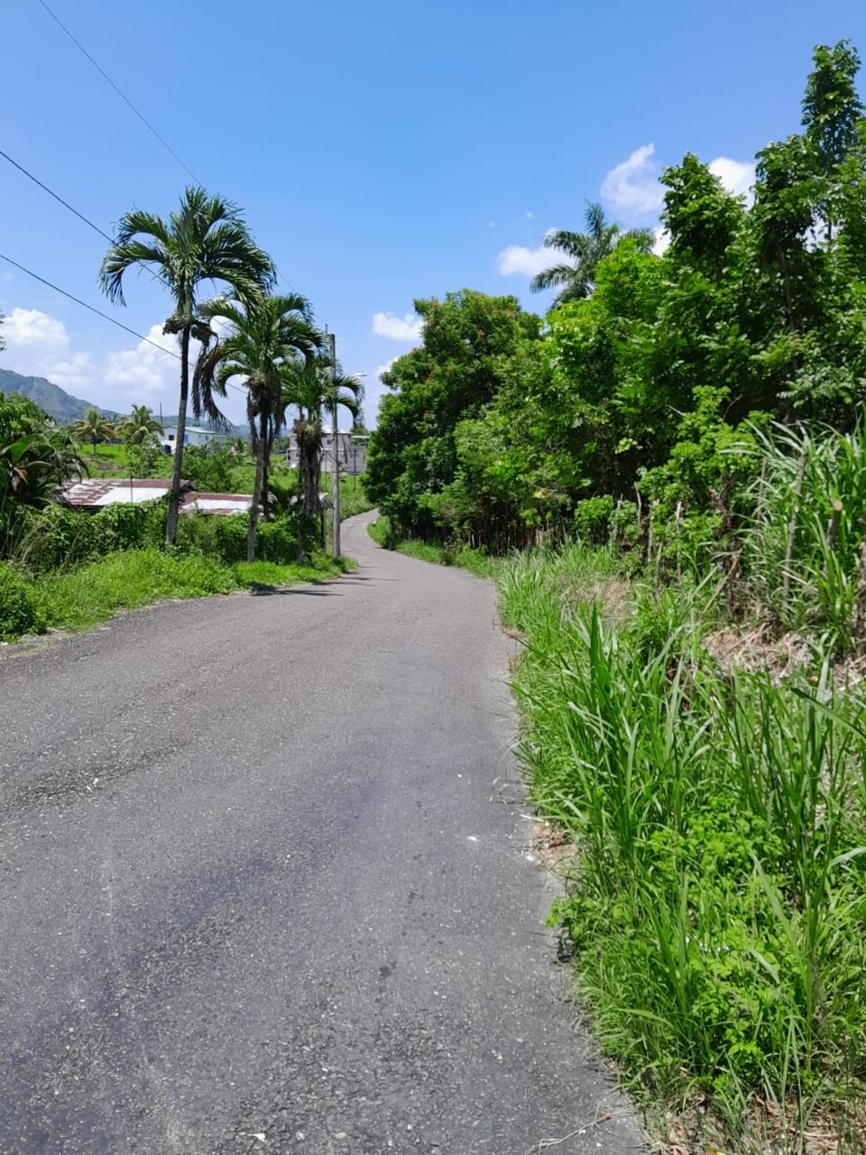49-Acre-Development-Land-for-Sale-in-Seaford-Town-Jamaica Eighteenth image of Seaford Town in SEAFORD TOWN, Westmoreland, Jamaica - property is For Sale