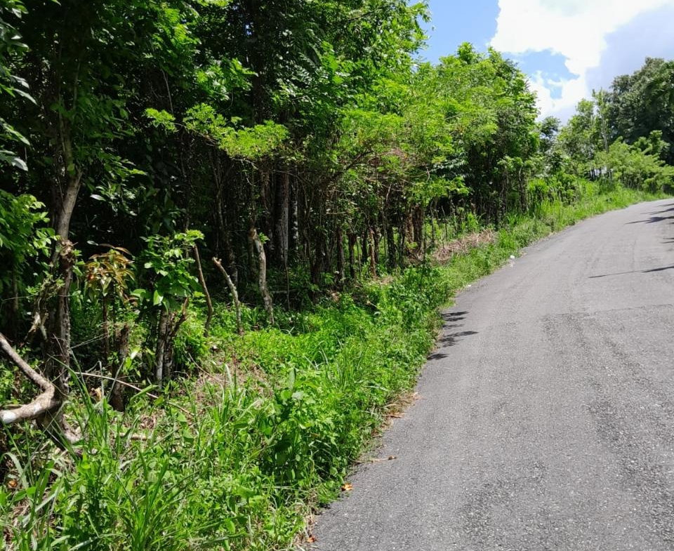 Nineteenth image of Seaford Town in SEAFORD TOWN, Westmoreland, Jamaica - property is For Sale