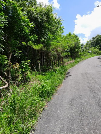 Nineteenth image of Seaford Town in SEAFORD TOWN, Westmoreland, Jamaica - property is For Sale