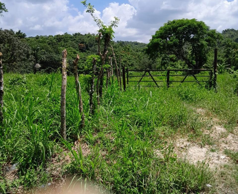 Twentieth image of Seaford Town in SEAFORD TOWN, Westmoreland, Jamaica - property is For Sale