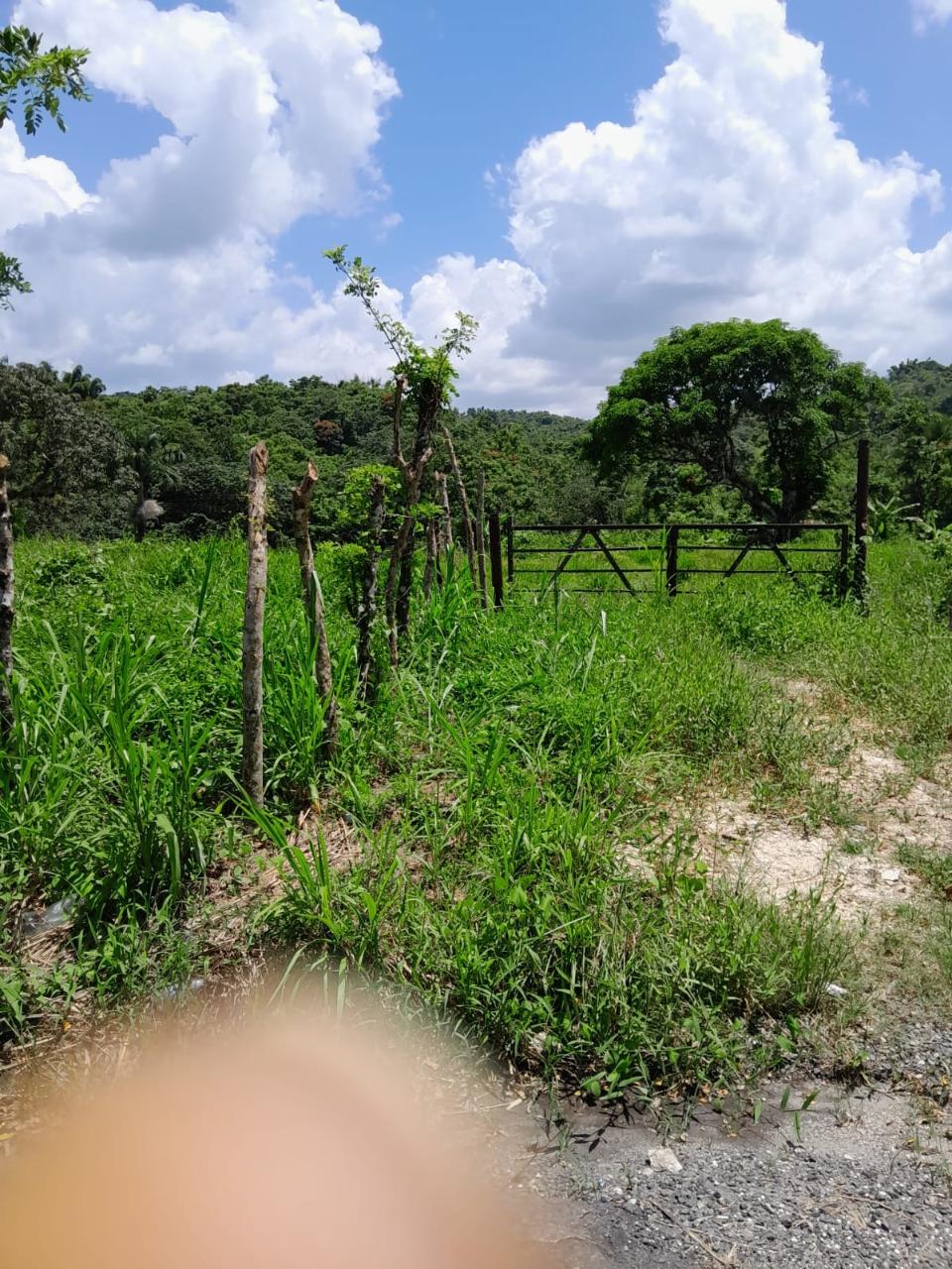 49-Acre-Development-Land-for-Sale-in-Seaford-Town-Jamaica Twentieth image of Seaford Town in SEAFORD TOWN, Westmoreland, Jamaica - property is For Sale