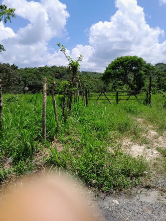 Twentieth image of Seaford Town in SEAFORD TOWN, Westmoreland, Jamaica - property is For Sale