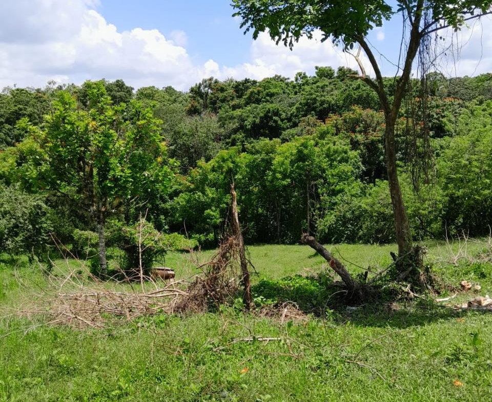 Third image of Seaford Town in SEAFORD TOWN, Westmoreland, Jamaica - property is For Sale