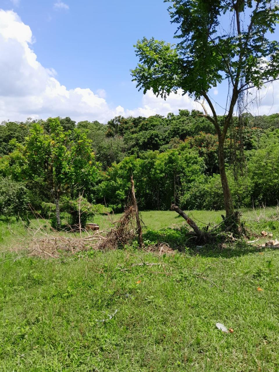 49-Acre-Development-Land-for-Sale-in-Seaford-Town-Jamaica Third image of Seaford Town in SEAFORD TOWN, Westmoreland, Jamaica - property is For Sale