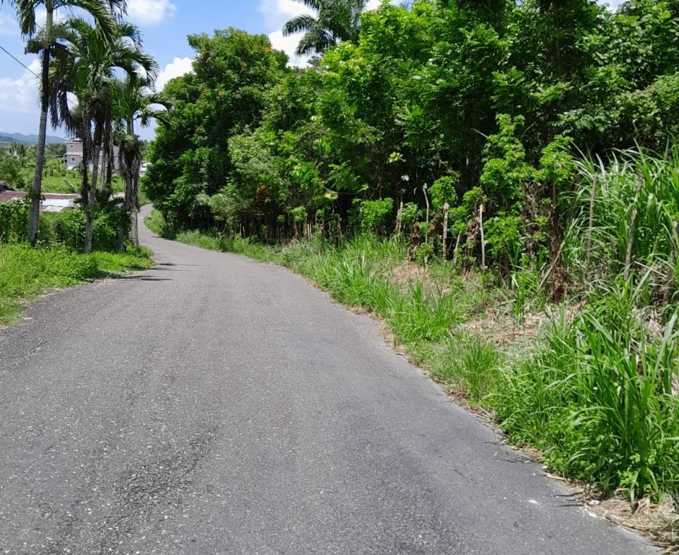 Twenty-First image of Seaford Town in SEAFORD TOWN, Westmoreland, Jamaica - property is For Sale
