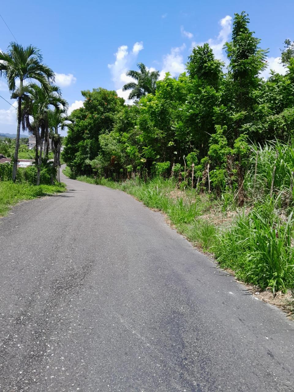 49-Acre-Development-Land-for-Sale-in-Seaford-Town-Jamaica Twenty-First image of Seaford Town in SEAFORD TOWN, Westmoreland, Jamaica - property is For Sale