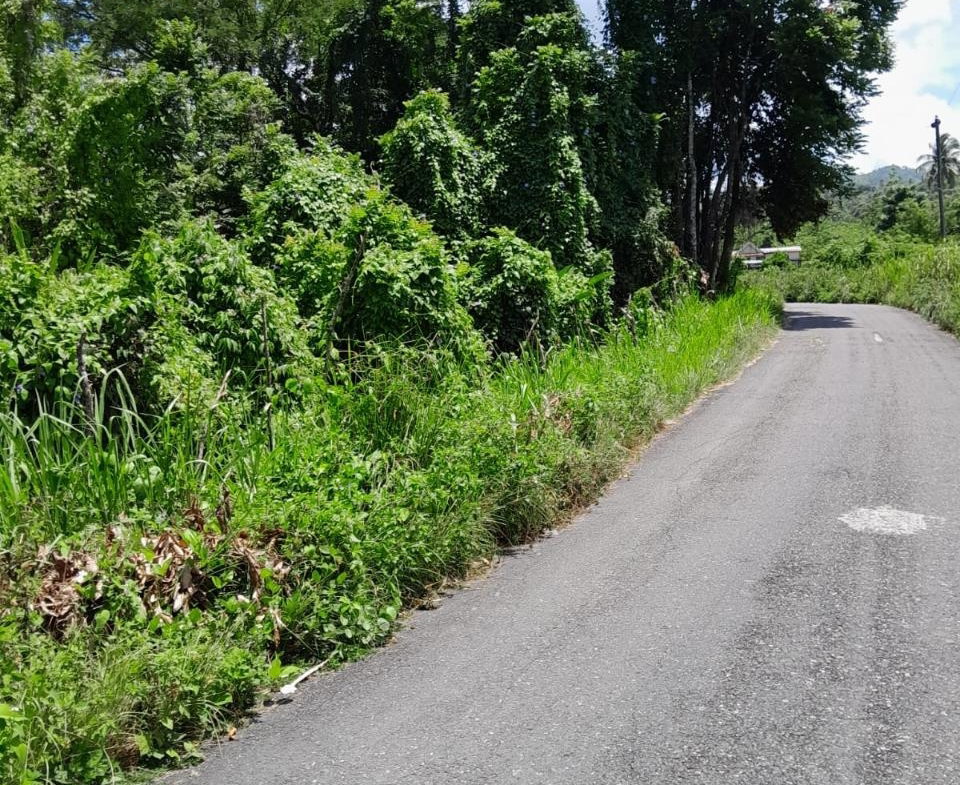 Twenty-Second image of Seaford Town in SEAFORD TOWN, Westmoreland, Jamaica - property is For Sale