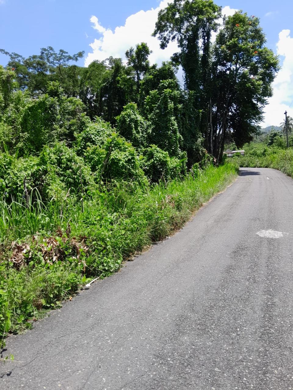 49-Acre-Development-Land-for-Sale-in-Seaford-Town-Jamaica Twenty-Second image of Seaford Town in SEAFORD TOWN, Westmoreland, Jamaica - property is For Sale