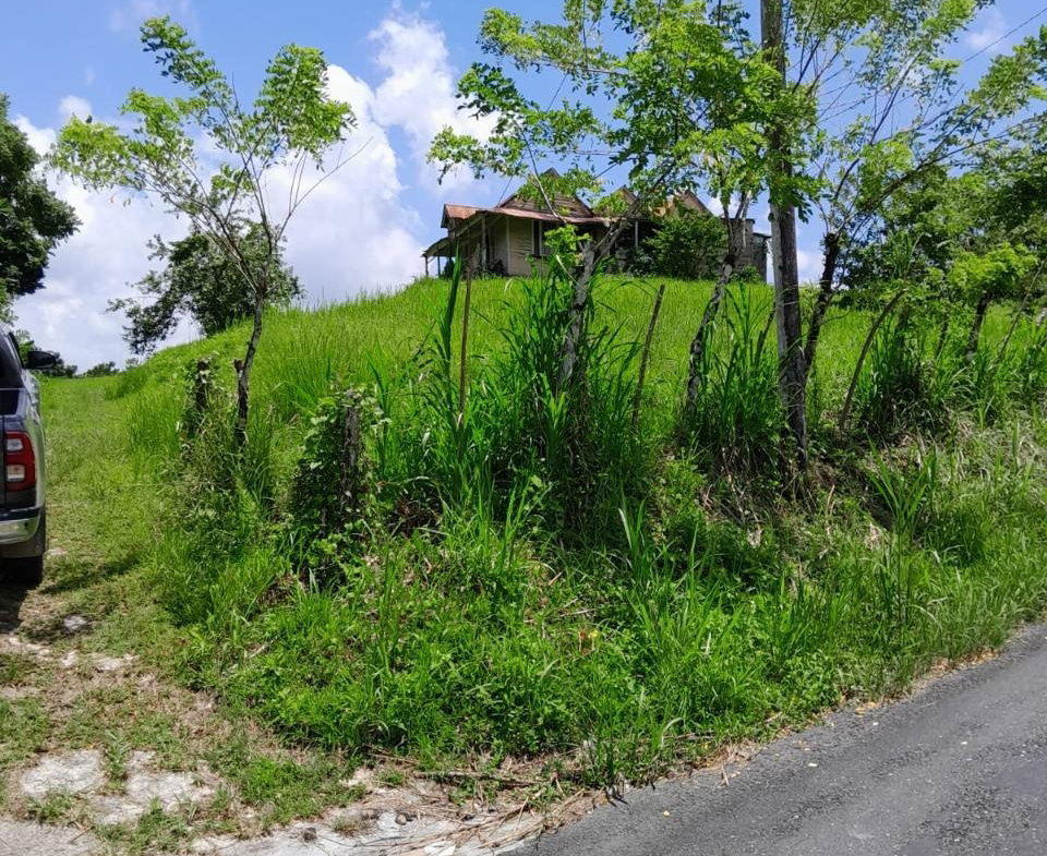 Fourth image of Seaford Town in SEAFORD TOWN, Westmoreland, Jamaica - property is For Sale