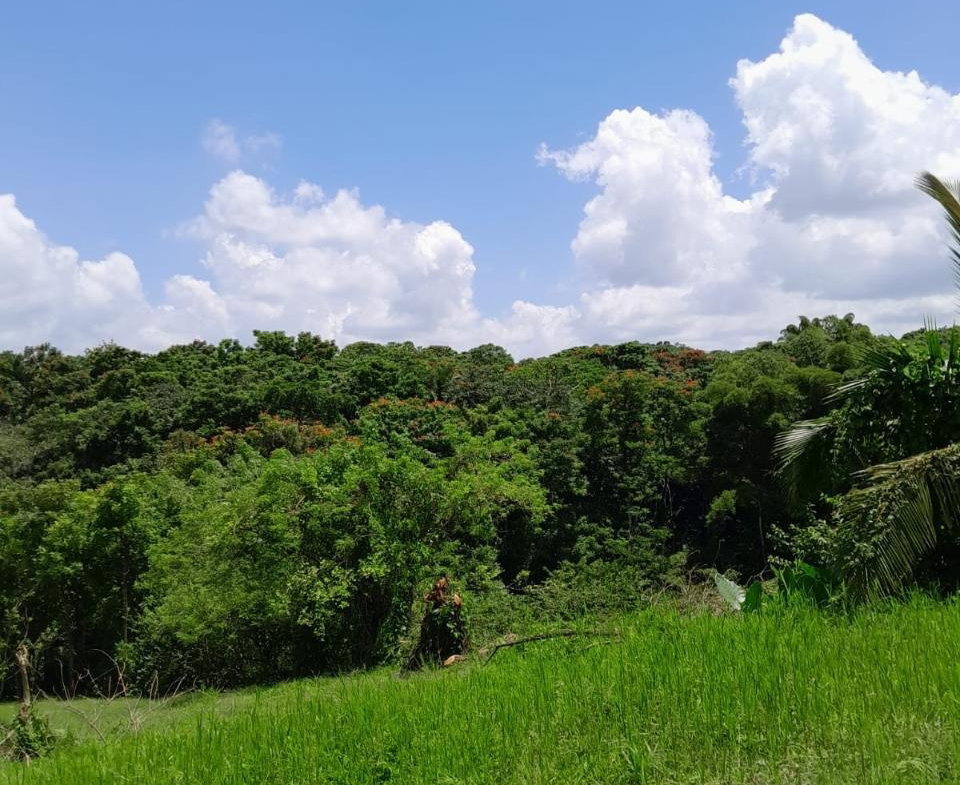 Fifth image of Seaford Town in SEAFORD TOWN, Westmoreland, Jamaica - property is For Sale