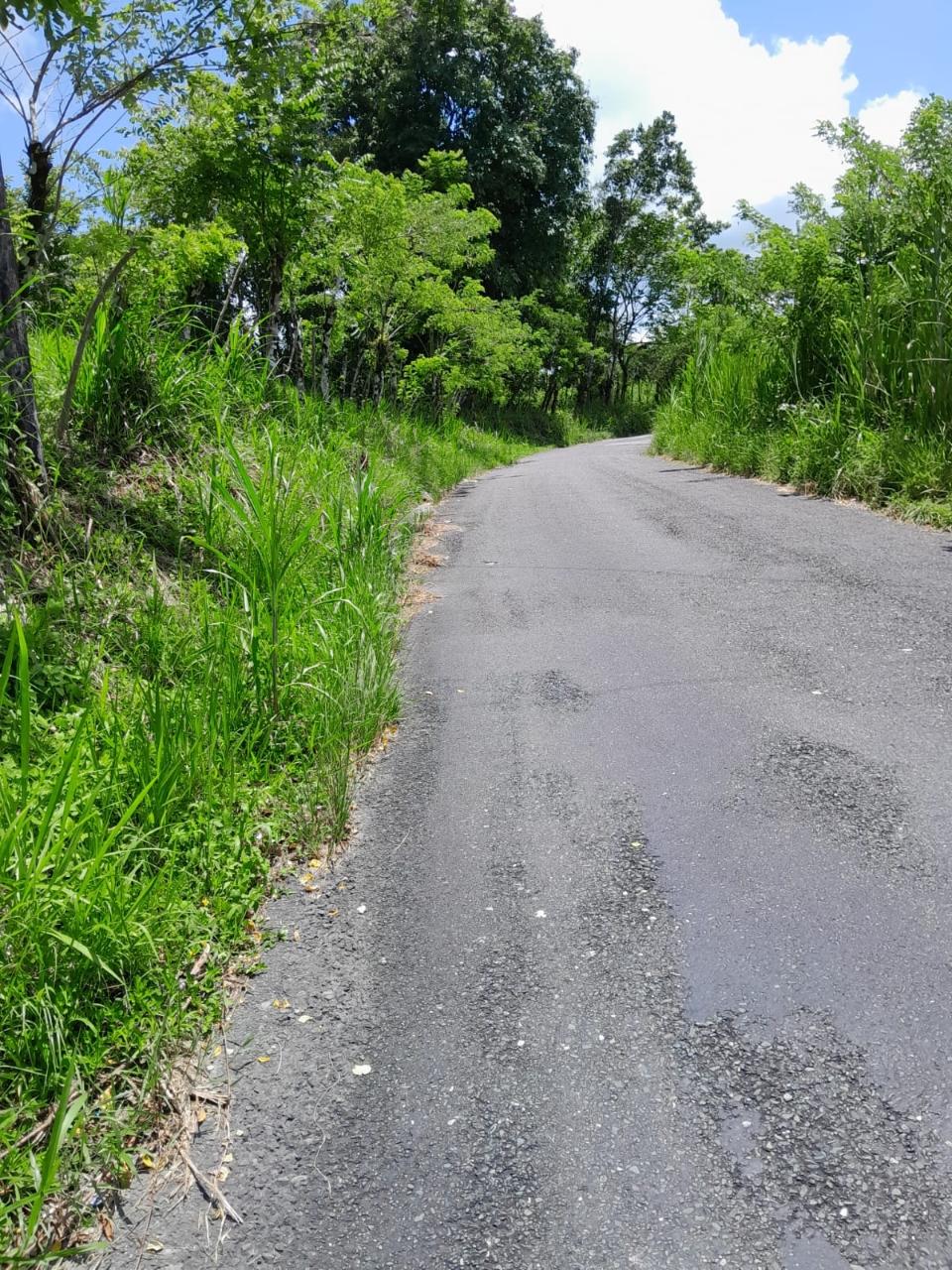 49-Acre-Development-Land-for-Sale-in-Seaford-Town-Jamaica Sixth image of Seaford Town in SEAFORD TOWN, Westmoreland, Jamaica - property is For Sale