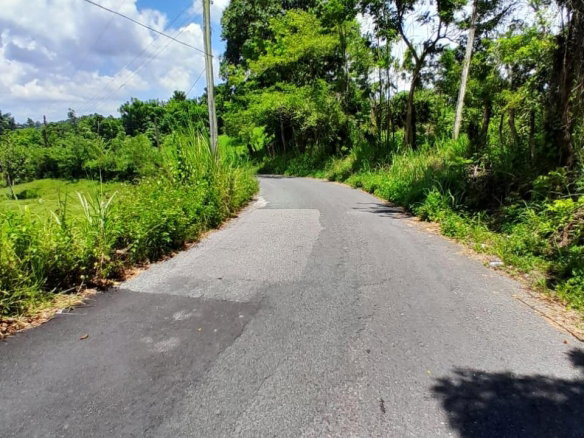First image of Seaford Town in SEAFORD TOWN, Westmoreland, Jamaica - property is For Sale