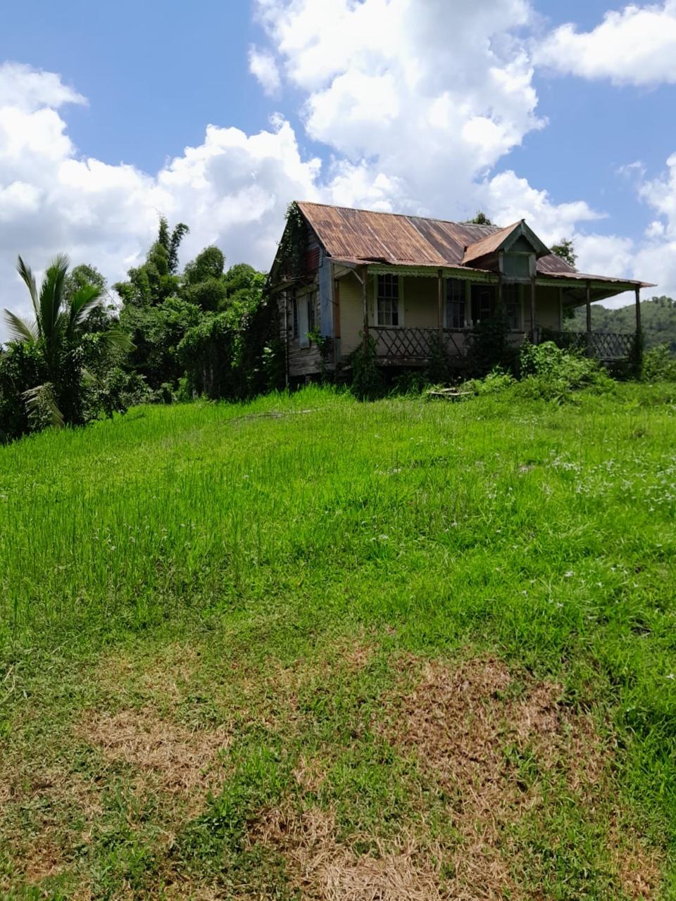 49-Acre-Development-Land-for-Sale-in-Seaford-Town-Jamaica Seventh image of Seaford Town in SEAFORD TOWN, Westmoreland, Jamaica - property is For Sale
