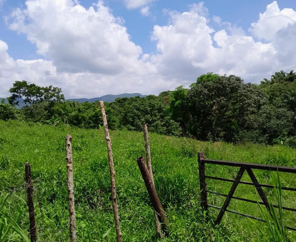 Eighth image of Seaford Town in SEAFORD TOWN, Westmoreland, Jamaica - property is For Sale