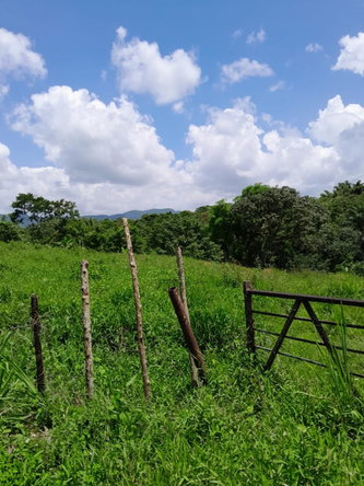 Eighth image of Seaford Town in SEAFORD TOWN, Westmoreland, Jamaica - property is For Sale