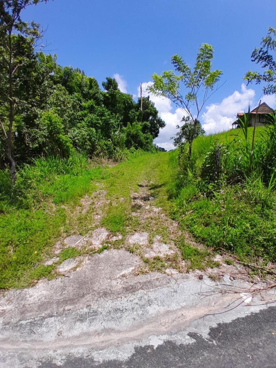 49-Acre-Development-Land-for-Sale-in-Seaford-Town-Jamaica Ninth image of Seaford Town in SEAFORD TOWN, Westmoreland, Jamaica - property is For Sale