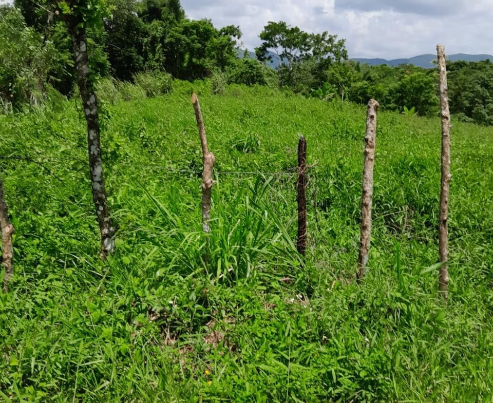 Tenth image of Seaford Town in SEAFORD TOWN, Westmoreland, Jamaica - property is For Sale