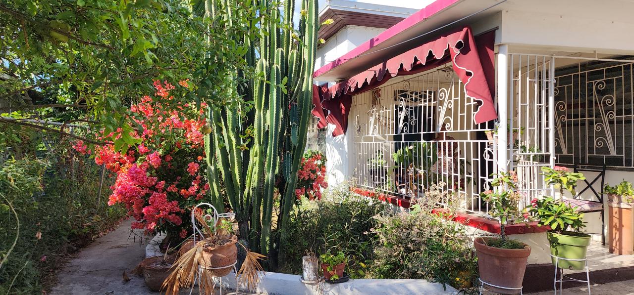 Fourth image of 14 Wakefield Crescent, Kings in Kingston 10, St. Andrew, Jamaica - property is For Rent