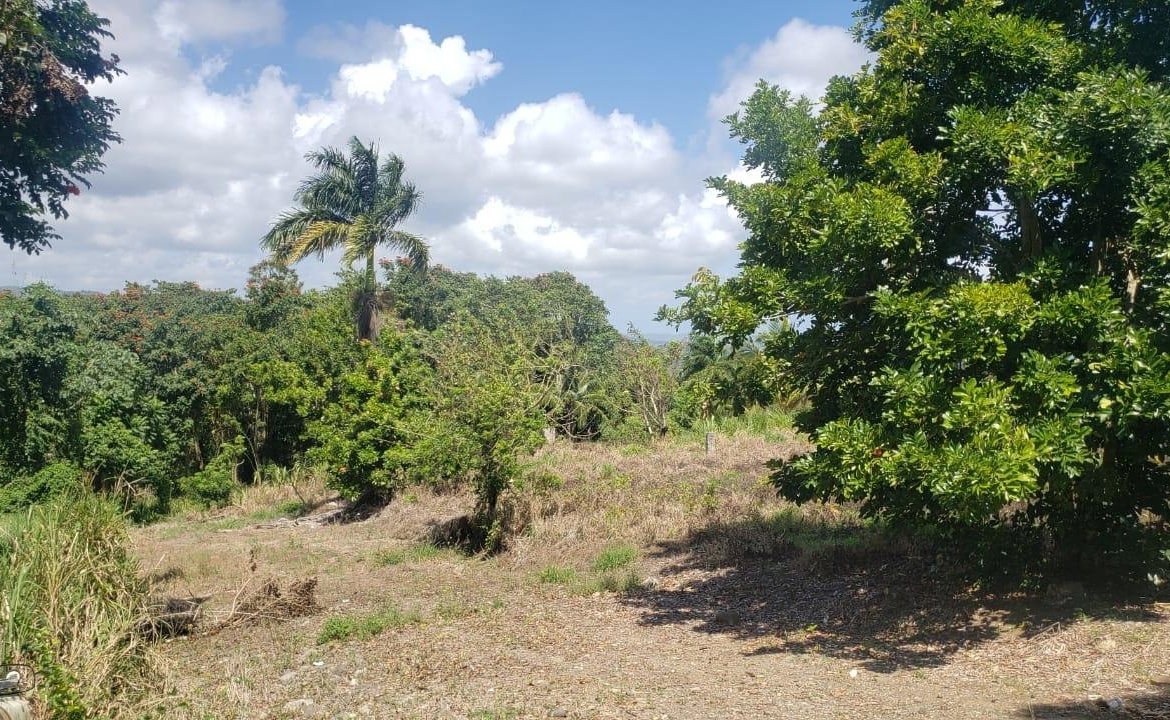 Second image of Cromwell Lands, Highgate in Highgate, St. Mary, Jamaica - property is For Sale