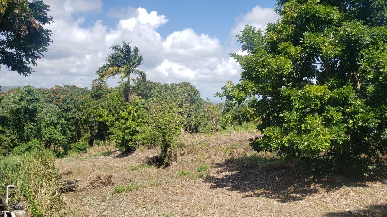 Second image of Cromwell Lands, Highgate in Highgate, St. Mary, Jamaica - property is For Sale