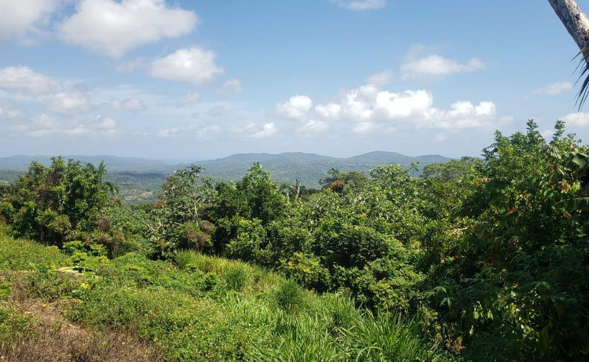 Eleventh image of Cromwell Lands, Highgate in Highgate, St. Mary, Jamaica - property is For Sale