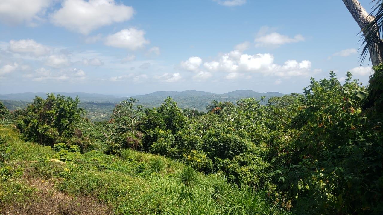 Eleventh image of Cromwell Lands, Highgate in Highgate, St. Mary, Jamaica - property is For Sale