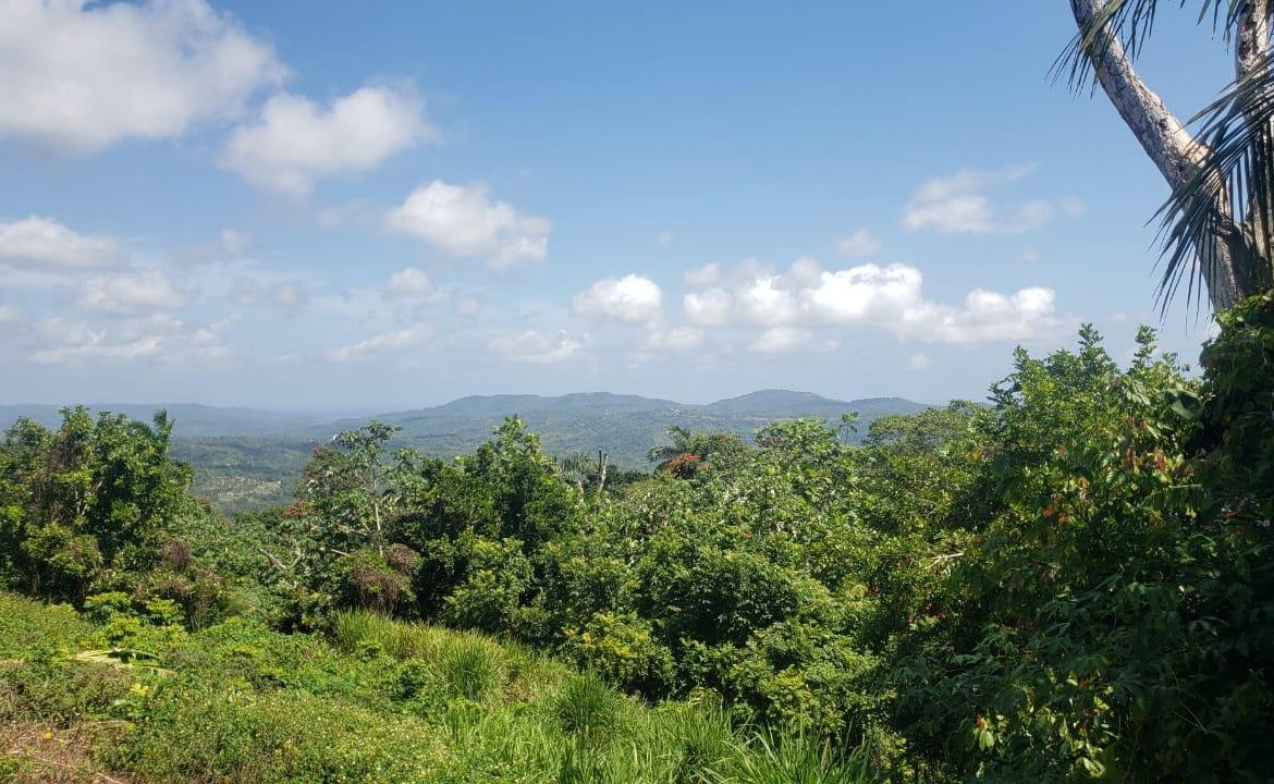 Twelfth image of Cromwell Lands, Highgate in Highgate, St. Mary, Jamaica - property is For Sale