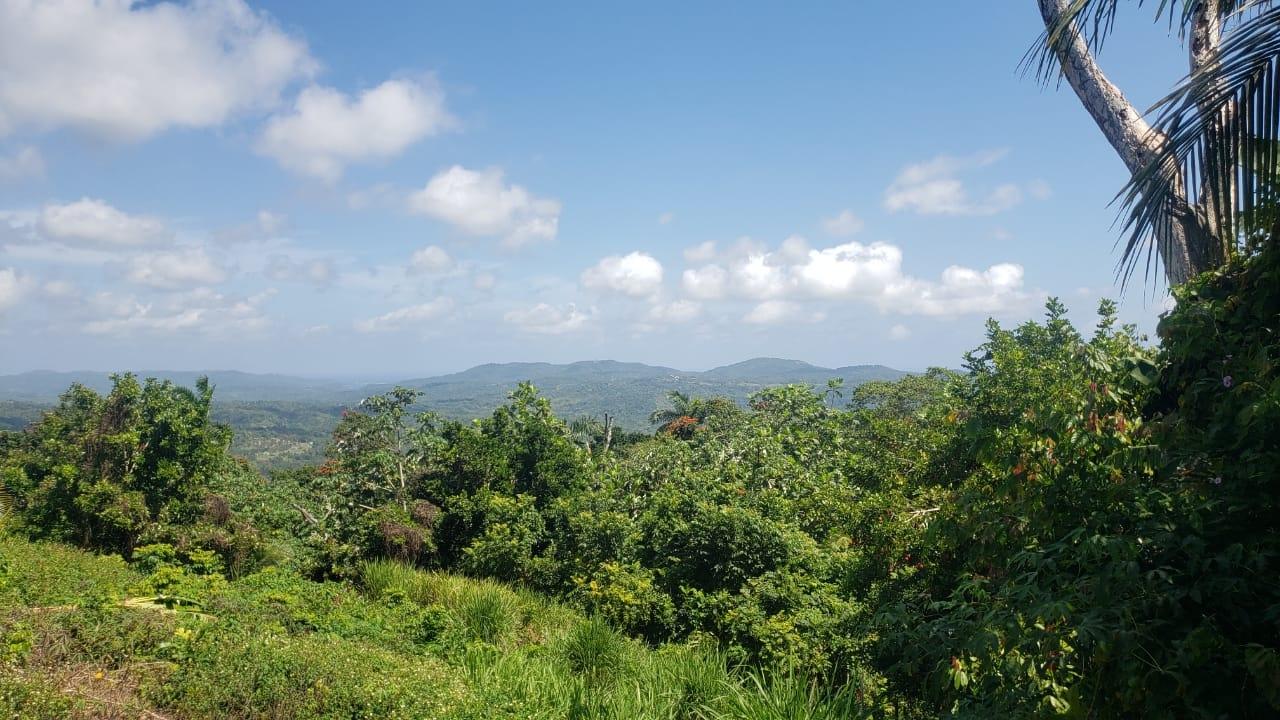 Twelfth image of Cromwell Lands, Highgate in Highgate, St. Mary, Jamaica - property is For Sale
