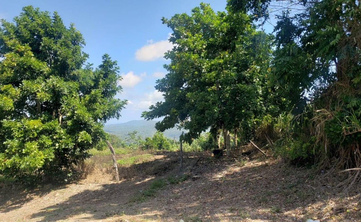 First image of Cromwell Lands, Highgate in Highgate, St. Mary, Jamaica - property is For Sale