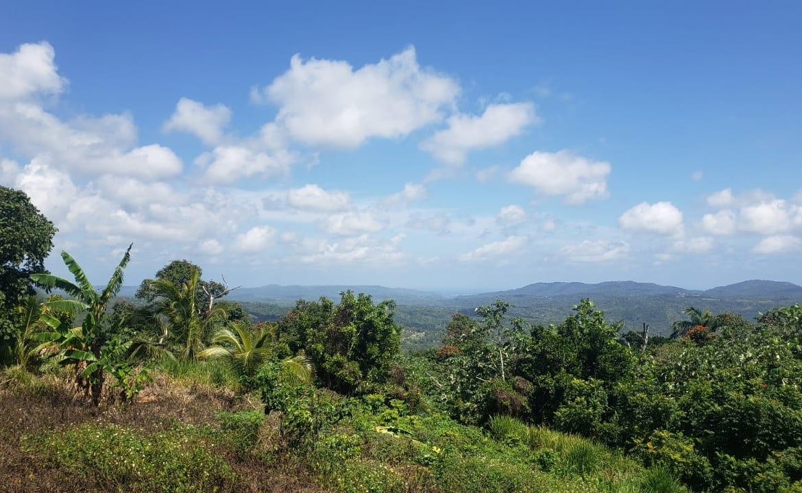 Thirteenth image of Cromwell Lands, Highgate in Highgate, St. Mary, Jamaica - property is For Sale