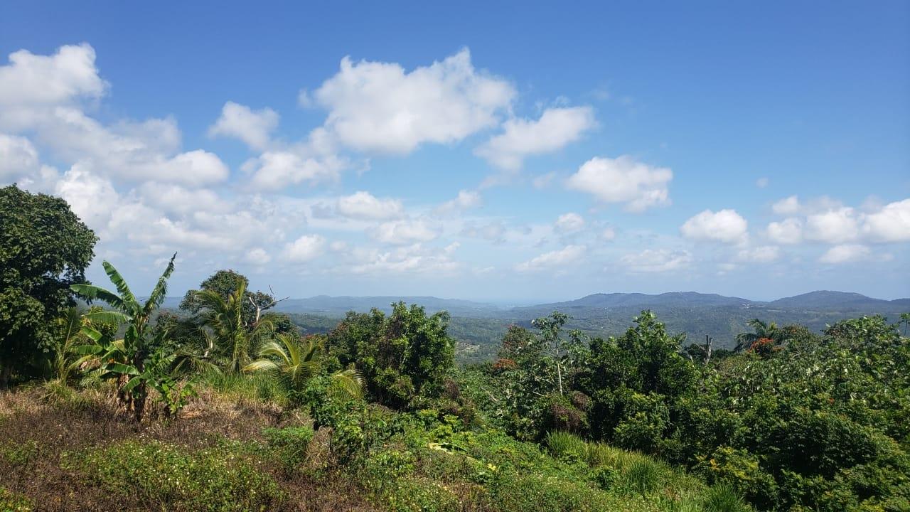Thirteenth image of Cromwell Lands, Highgate in Highgate, St. Mary, Jamaica - property is For Sale