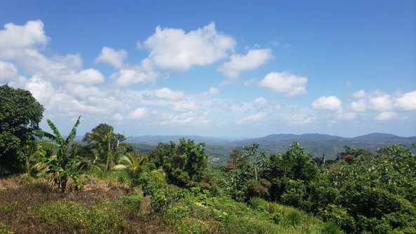 Thirteenth image of Cromwell Lands, Highgate in Highgate, St. Mary, Jamaica - property is For Sale