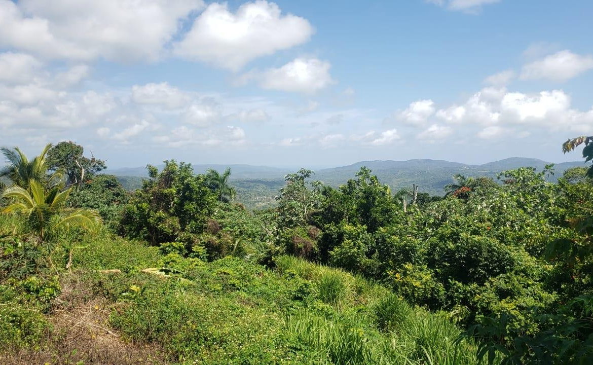 Fourteenth image of Cromwell Lands, Highgate in Highgate, St. Mary, Jamaica - property is For Sale