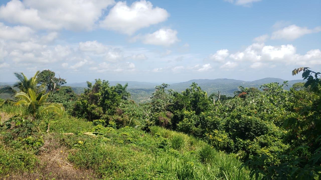 Fourteenth image of Cromwell Lands, Highgate in Highgate, St. Mary, Jamaica - property is For Sale