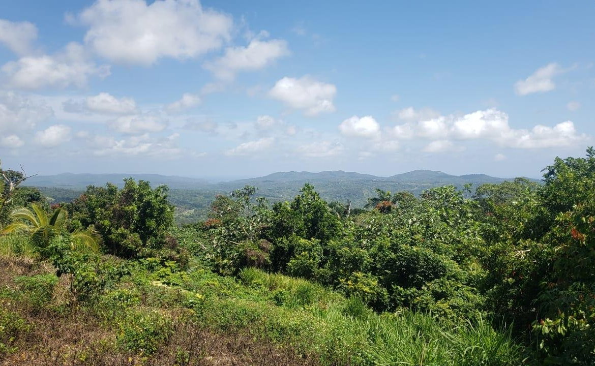 Fifteenth image of Cromwell Lands, Highgate in Highgate, St. Mary, Jamaica - property is For Sale