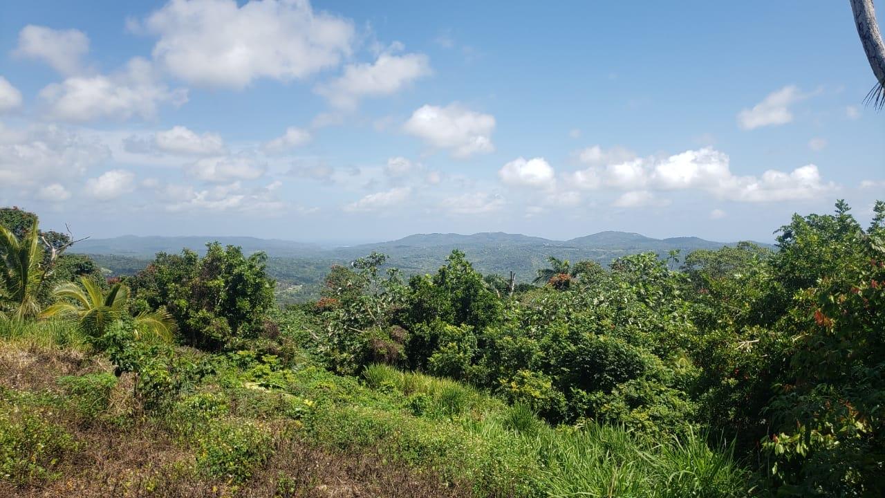 Fifteenth image of Cromwell Lands, Highgate in Highgate, St. Mary, Jamaica - property is For Sale