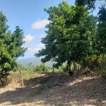 First image of Cromwell Lands, Highgate in Highgate, St. Mary, Jamaica - property is For Sale