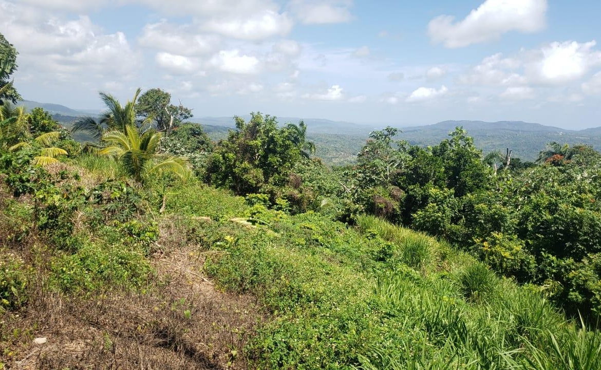 Third image of Cromwell Lands, Highgate in Highgate, St. Mary, Jamaica - property is For Sale