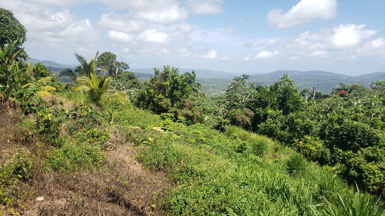 Third image of Cromwell Lands, Highgate in Highgate, St. Mary, Jamaica - property is For Sale