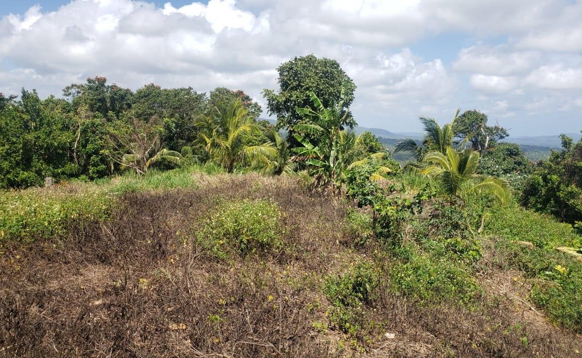 Fourth image of Cromwell Lands, Highgate in Highgate, St. Mary, Jamaica - property is For Sale