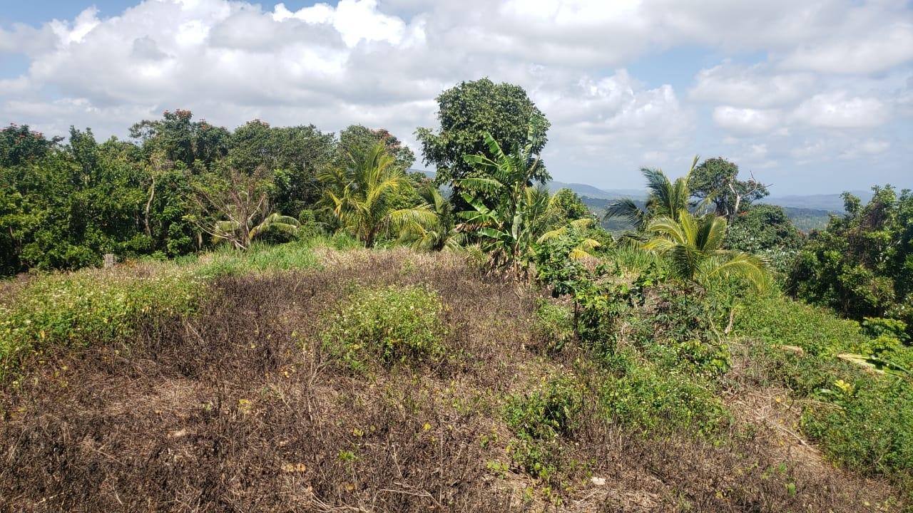Fourth image of Cromwell Lands, Highgate in Highgate, St. Mary, Jamaica - property is For Sale