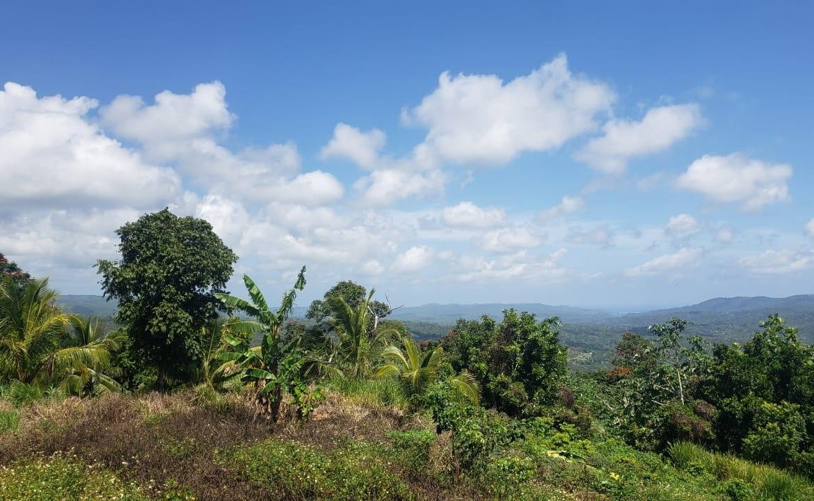 Fifth image of Cromwell Lands, Highgate in Highgate, St. Mary, Jamaica - property is For Sale