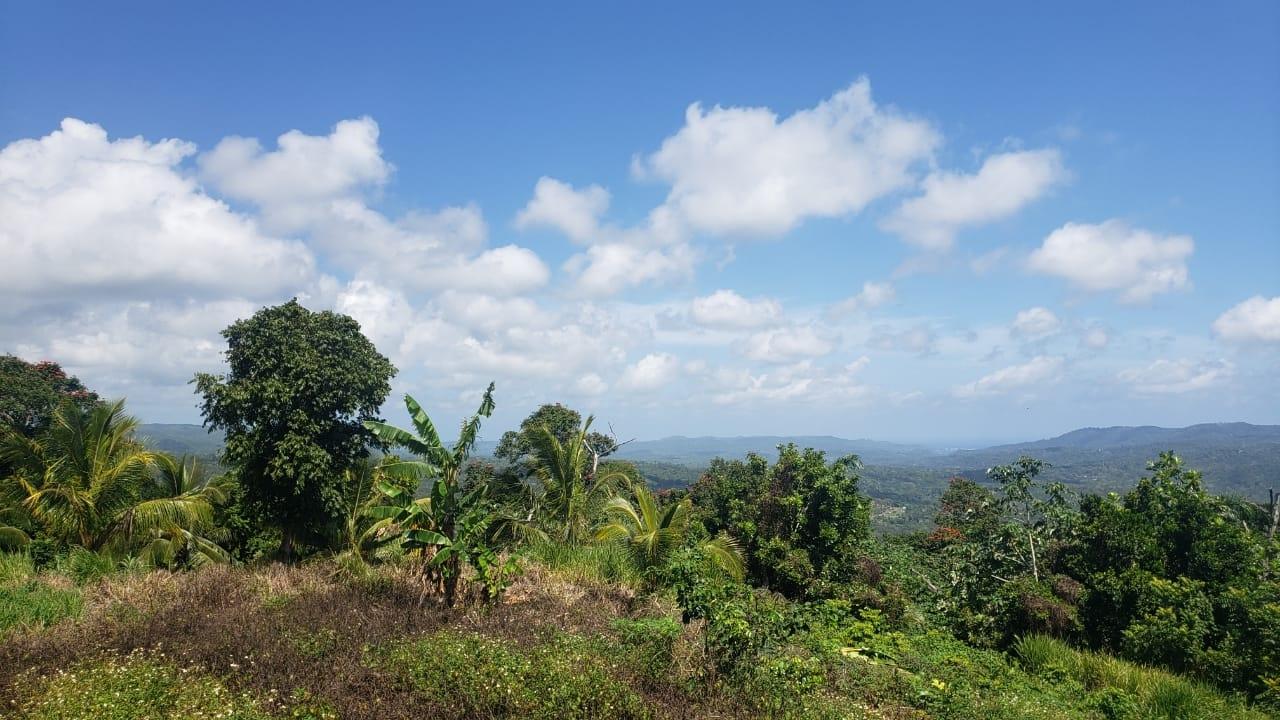 Fifth image of Cromwell Lands, Highgate in Highgate, St. Mary, Jamaica - property is For Sale