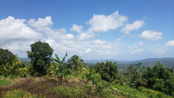 Fifth image of Cromwell Lands, Highgate in Highgate, St. Mary, Jamaica - property is For Sale
