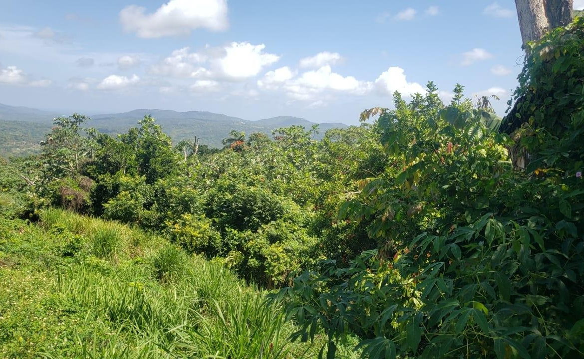 Sixth image of Cromwell Lands, Highgate in Highgate, St. Mary, Jamaica - property is For Sale