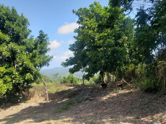 First image of Cromwell Lands, Highgate in Highgate, St. Mary, Jamaica - property is For Sale