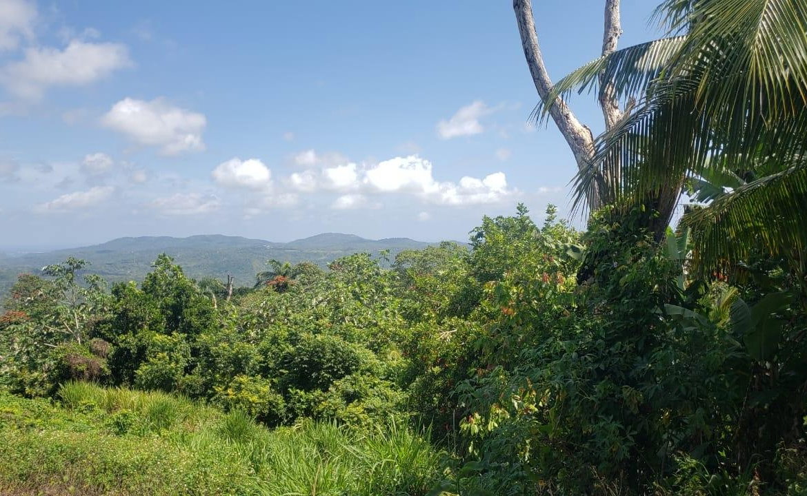 Seventh image of Cromwell Lands, Highgate in Highgate, St. Mary, Jamaica - property is For Sale