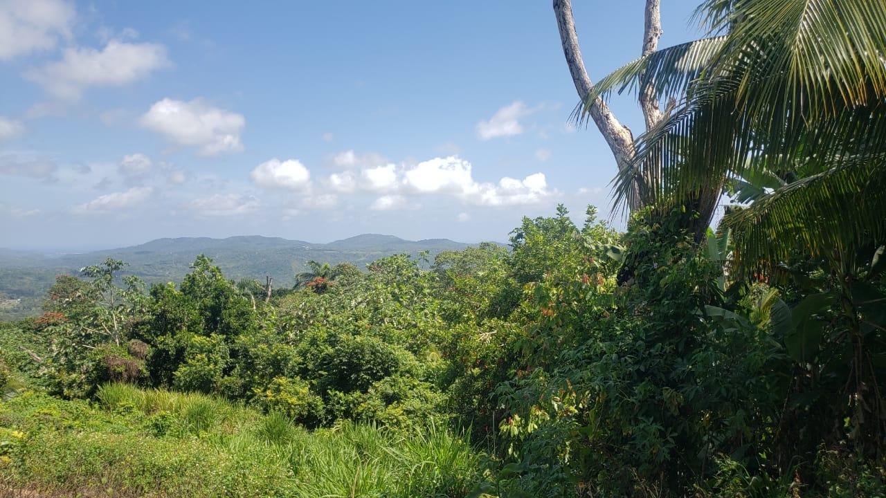 Seventh image of Cromwell Lands, Highgate in Highgate, St. Mary, Jamaica - property is For Sale