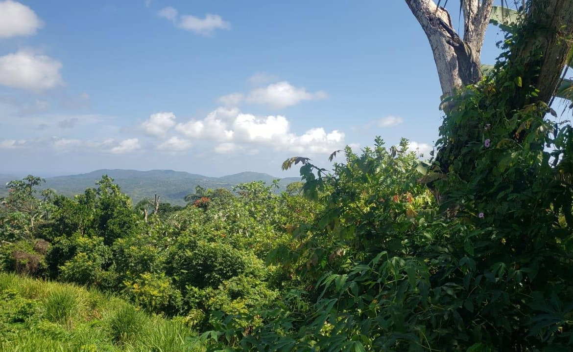 Eighth image of Cromwell Lands, Highgate in Highgate, St. Mary, Jamaica - property is For Sale